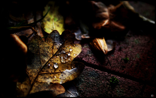 465129 (a): :1680x1050